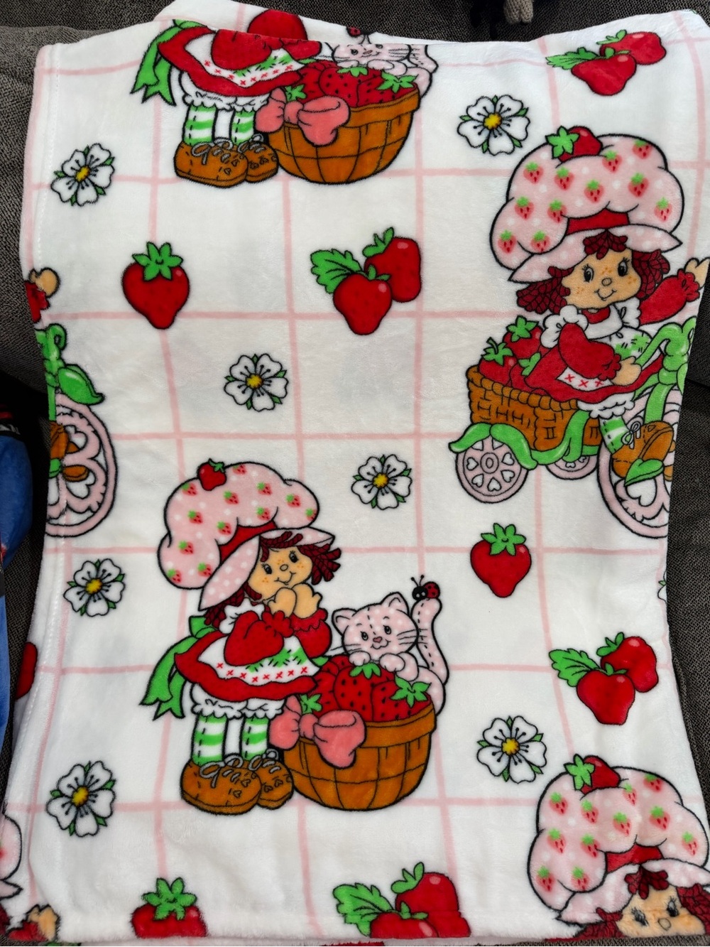 Strawberry Shortcake Blanket - Pink & White